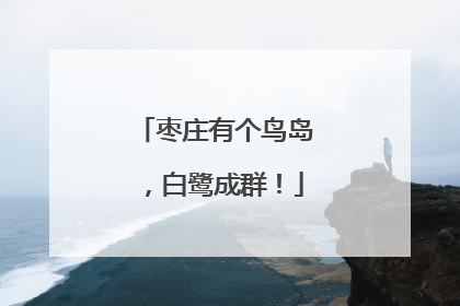 枣庄有个鸟岛，白鹭成群！