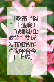 政策“码”上通晓！“成都惠企政策”集成发布和智能查询平台今日上线