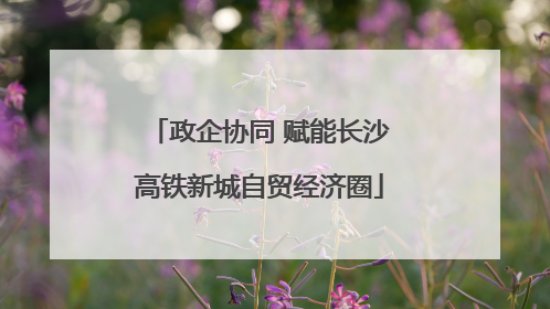 政企协同 赋能长沙高铁新城自贸经济圈