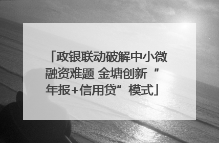 政银联动破解中小微融资难题 金塘创新“年报+信用贷”模式