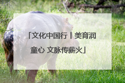 文化中国行丨美育润童心 文脉传薪火