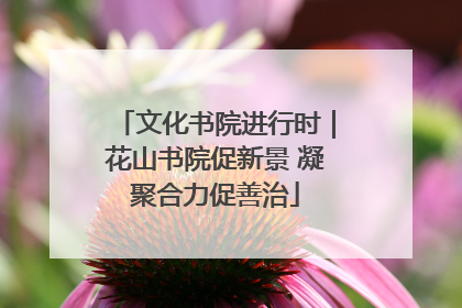 文化书院进行时｜花山书院促新景 凝聚合力促善治