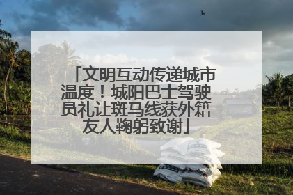 文明互动传递城市温度！城阳巴士驾驶员礼让斑马线获外籍友人鞠躬致谢