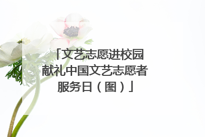 文艺志愿进校园 献礼中国文艺志愿者服务日（图）
