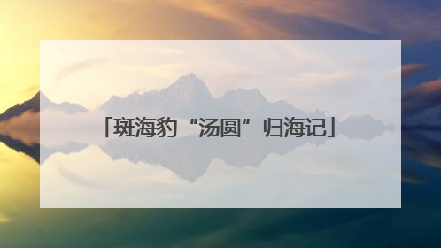 斑海豹“汤圆”归海记