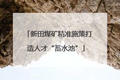 新田煤矿精准施策打造人才“蓄水池”