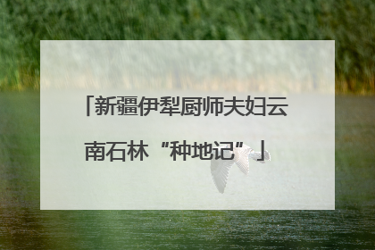 新疆伊犁厨师夫妇云南石林“种地记”