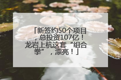 新签约50个项目，总投资107亿！龙岩上杭这套“组合拳”，漂亮！