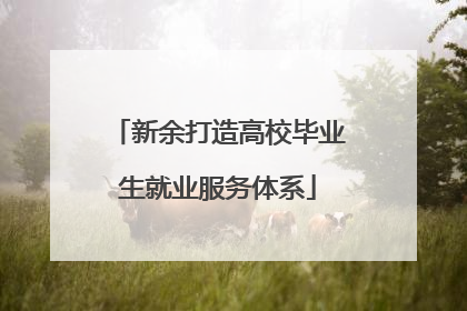 新余打造高校毕业生就业服务体系