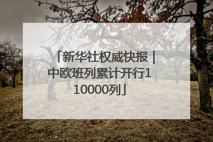 新华社权威快报｜中欧班列累计开行110000列