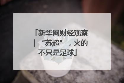 新华网财经观察｜“苏超”，火的不只是足球