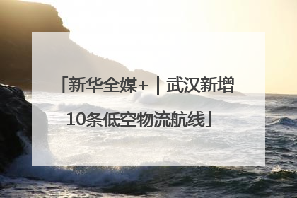 新华全媒+｜武汉新增10条低空物流航线
