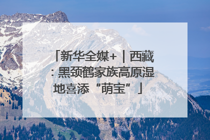 新华全媒+｜西藏：黑颈鹤家族高原湿地喜添“萌宝”