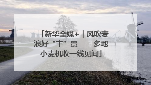 新华全媒+｜风吹麦浪好“丰”景——多地小麦机收一线见闻