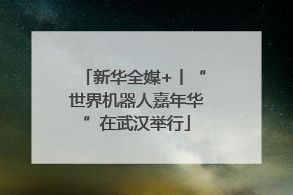 新华全媒+丨“世界机器人嘉年华”在武汉举行