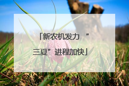 新农机发力 “三夏”进程加快