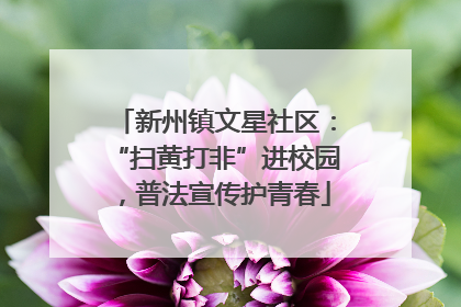 新州镇文星社区：“扫黄打非”进校园，普法宣传护青春