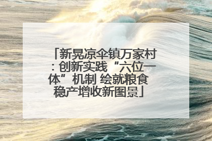 新晃凉伞镇万家村：创新实践“六位一体”机制 绘就粮食稳产增收新图景