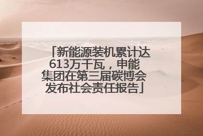 新能源装机累计达613万千瓦，申能集团在第三届碳博会发布社会责任报告