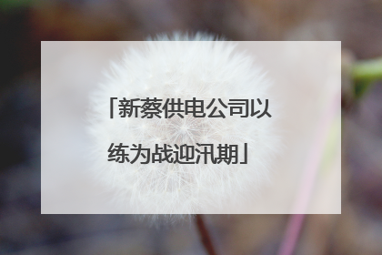 新蔡供电公司以练为战迎汛期