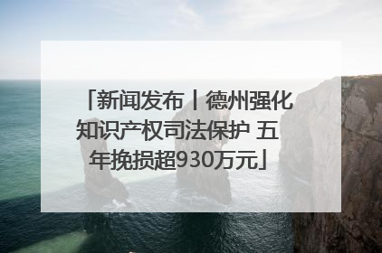 新闻发布丨德州强化知识产权司法保护 五年挽损超930万元