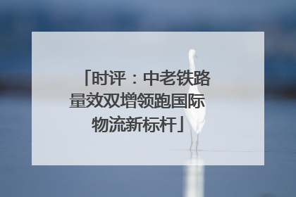 时评：中老铁路量效双增领跑国际物流新标杆