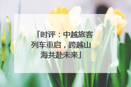 时评：中越旅客列车重启，跨越山海共赴未来