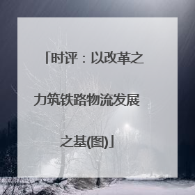 时评：以改革之力筑铁路物流发展之基(图)