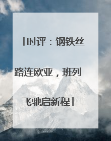 时评：钢铁丝路连欧亚，班列飞驰启新程