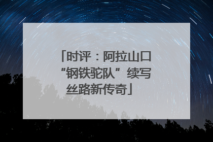 时评：阿拉山口“钢铁驼队”续写丝路新传奇