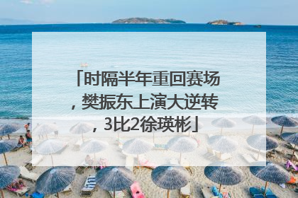 时隔半年重回赛场，樊振东上演大逆转，3比2徐瑛彬