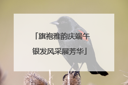 旗袍雅韵庆端午 银发风采展芳华