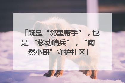 既是“邻里帮手”，也是 “移动哨兵”，“陶然小哥”守护社区
