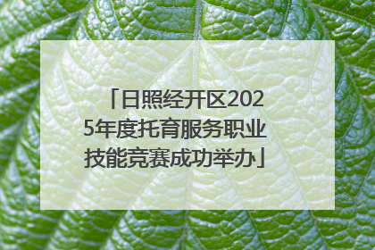 日照经开区2025年度托育服务职业技能竞赛成功举办