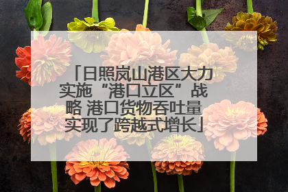 日照岚山港区大力实施“港口立区”战略 港口货物吞吐量实现了跨越式增长