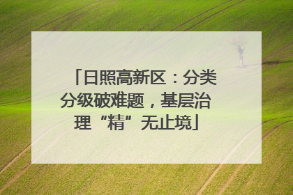 日照高新区：分类分级破难题，基层治理“精”无止境
