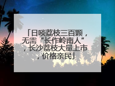 日啖荔枝三百颗，无需“长作岭南人”，长沙荔枝大量上市，价格亲民