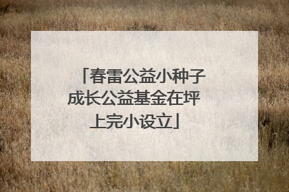 春雷公益小种子成长公益基金在坪上完小设立