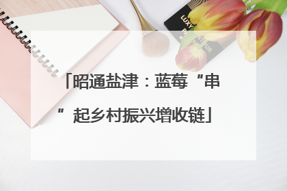 昭通盐津：蓝莓“串”起乡村振兴增收链