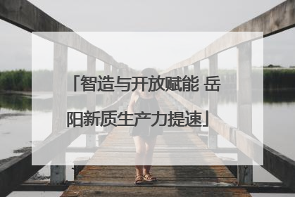 智造与开放赋能 岳阳新质生产力提速