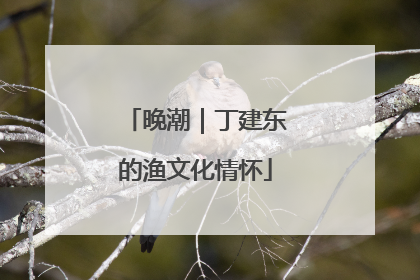 晚潮｜丁建东的渔文化情怀