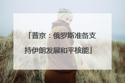 普京：俄罗斯准备支持伊朗发展和平核能