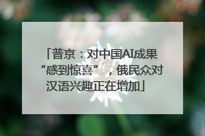 普京：对中国AI成果“感到惊喜”，俄民众对汉语兴趣正在增加