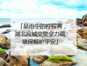 暴雨中的柠檬黄，湖北应城交警全力疏堵保畅护平安