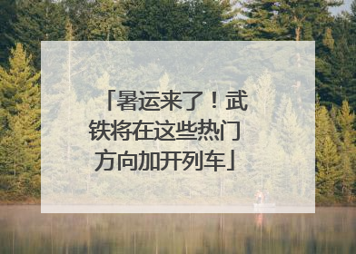 暑运来了！武铁将在这些热门方向加开列车