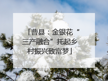 曹县：金银花“三产融合”托起乡村振兴致富梦