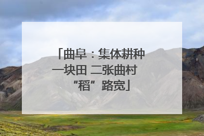 曲阜：集体耕种一块田 二张曲村“稻”路宽