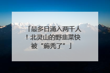 最多日涌入两千人！北灵山的野韭菜快被“薅秃了”