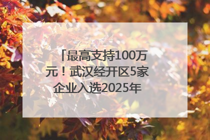 最高支持100万元！武汉经开区5家企业入选2025年度武汉市重点研发计划拟立项项目名单