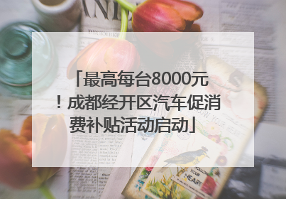 最高每台8000元！成都经开区汽车促消费补贴活动启动